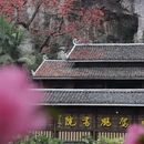 柳州旅游 缩略图 1