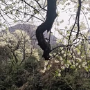桂林旅游 缩略图 6