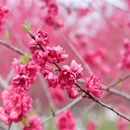 桂林旅游 缩略图 4