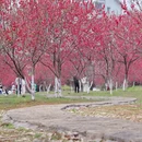桂林旅游 缩略图 6