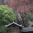 柳州旅游 缩略图 3