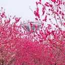 桂林旅游 缩略图 3
