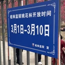 桂林旅游 缩略图 8