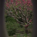 北京旅游 缩略图 8