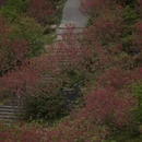 北京旅游 缩略图 5