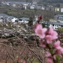 河源旅游 缩略图 4