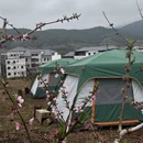 河源旅游 缩略图 3