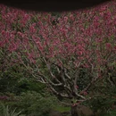 北京旅游 缩略图 7