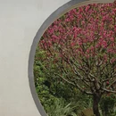 北京旅游 缩略图 11