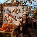 贺州旅游 缩略图 8