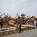 桂林旅游 缩略图 8