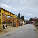 桂林旅游 缩略图 5