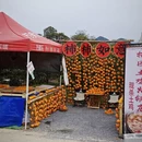 桂林旅游 缩略图 7