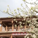 桂林旅游 缩略图 1