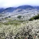 桂林旅游 缩略图 3