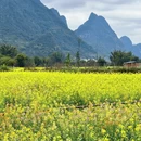 桂林旅游 缩略图 6
