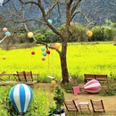 桂林旅游 缩略图 7