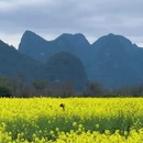桂林旅游 缩略图 10