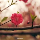 黄冈旅游 缩略图 1