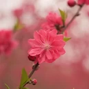 黄冈旅游 缩略图 3