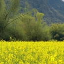 桂林旅游 缩略图 9