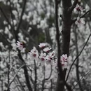 宣城旅游 缩略图 6