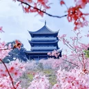 桂林旅游 缩略图 2