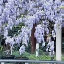 桂林旅游 缩略图 7