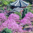 桂林旅游 缩略图 10