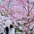 桂林旅游 缩略图 3