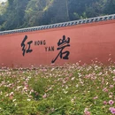贺州旅游 缩略图 7