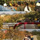 贺州旅游 缩略图 1
