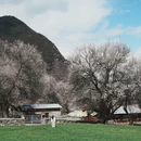 林芝旅游 缩略图 3