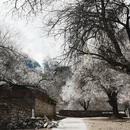 林芝旅游 缩略图 13