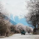 林芝旅游 缩略图 16
