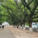 桂林旅游 缩略图 2