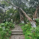 桂林旅游 缩略图 8