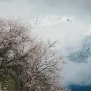 林芝旅游 缩略图 7
