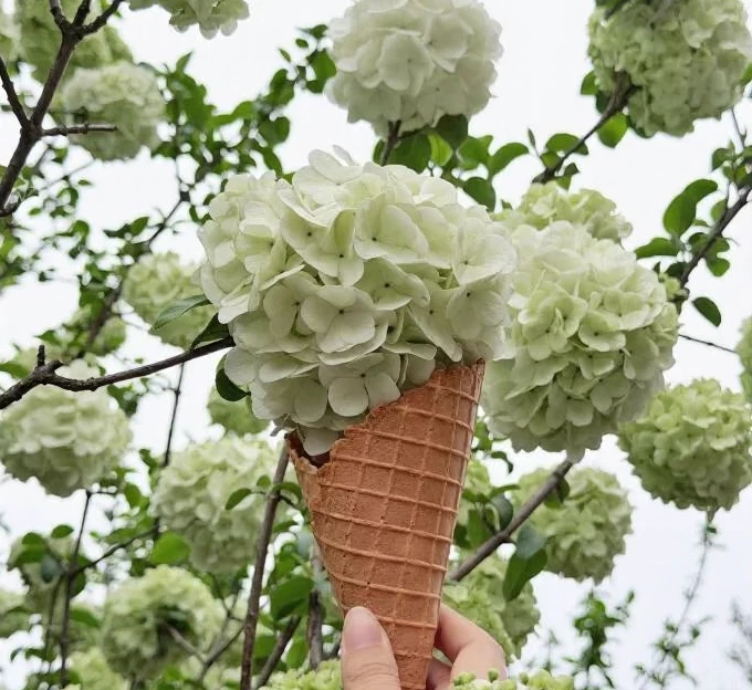桂林旅游 1