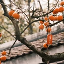 桂林旅游 缩略图 2