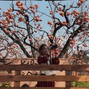 桂林旅游 缩略图 13