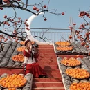 桂林旅游 缩略图 14