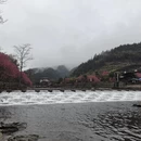黄山旅游 缩略图 5