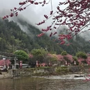 黄山旅游 缩略图 4