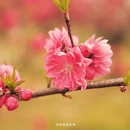 黄冈旅游 缩略图 10