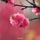 黄冈旅游 缩略图 14
