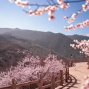平凉旅游 缩略图 2