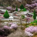 平凉旅游 缩略图 1