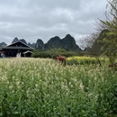 桂林旅游 缩略图 3