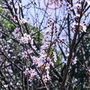 桂林旅游 缩略图 2